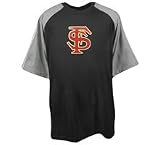 Florida State Seminoles Block Logo Shirt