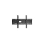 WALLMOUNT*37-59 FLAT MOUNT
