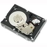 300GB 15K RPM SAS 3.5-HPLUG HD R710