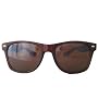 Classic Tortoise Brown Wayfarers