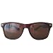 Classic Tortoise Brown Wayfarers