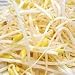 Oisix しっかり歯応え 子大豆もやし: ナムルにはもちろん、炒めものにもぴったり。食べごたえがあり、くせになるおいしさです。低カロリーで食物繊維が豊富なのでダイエットにもおすすめ。シャキシャキしていて、豆はコリコリこのもやしは種の産地・品種...