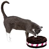Savvy Tabby Cookie Challenge Interactive Cat Teaser Toy 10.5