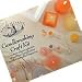 Toys : Candlemaking Craft Kit