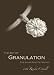 Art of Granulation, Vol. I: A Fine Silver Rosette Pendant (Dvd) Image