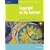 Copyright on the Internet-Illustrated Essentials (Illustrated (Thompson Learning))