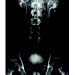 Awesome Anatomy Medical Imaging TDCT