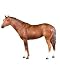 Secretariat