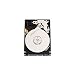WESTERN DIGITAL 2.5インチ内蔵HDD 320GB U-ATA100 5400rpm 8MB WD3200BEVE