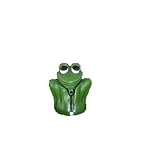 Dr Frog Electronic Moisture Meter Inactive Night Special Light Sensor by P3 INTERNATIONAL