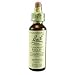Beech Tincture 20 ml