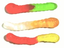 Sugar Free Assorted Fruit Gummy Worms (1lb bulk) by Sugar Free CandyMan Brand
