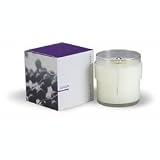 APOTHIA Los Angeles - Juiced Candle