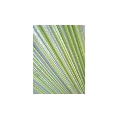 Fadenvorhang Fadengardine uni gr�n 140x250 cm extra breit