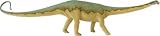Diplodocus (The Carnegie Collection)