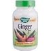 Nature's Way Ginger Root, 550 mg, 100  Capsules