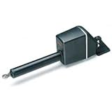 RAYMARINE TYPE 2 LONG LINEAR M81132