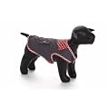 REGENMANTEL f�r Hunde, TRENDS, GRAU/ROT 34CM