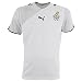 Puma World Cup 2010 Ghana Home Jersey