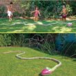 Small World Toys Wiggling Water Snake