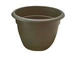Review B.Line  / B.Line H210 Terrapota Evergreen 34cm