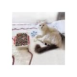 * * Mr. Kitty''S Big Bead Bonanza - Beads Mix - 1/2 Pound