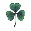 Shamrock Temporary Tattoo 2x2