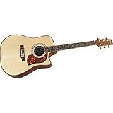 Washburn DK20CET Acoustic Electric Guitar Kit