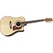 Washburn DK20CET Acoustic Electric Guitar Kit
