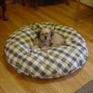 Snoozer Puppy Economy Pet Bed