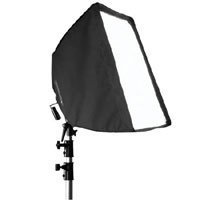 Buy Westcott 4818 Westcott Spiderlite TD Trio Continuous Output Fluorescent Lighting Kit with 2 TD5 & 1 TD3 Lights, Tilter Brackets, 3 Softboxes, Stands, Fluorescent Lamps & Deluxe Travel Case
