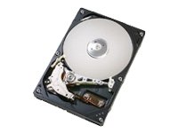 Hitachi - Hitachi DeskStar 7K160 - Festplatte - 80 GB