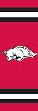 Arkansas Razorbacks Collegiate Post Flag