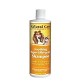 21frqYAlQsL. SL160  Hypoallergenic Shampoo (Hylyt Formulation)   12 oz