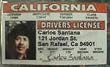 Santana Fake Drivers License