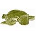 Plush Classic Designs Turtle 9