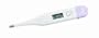 Mabis Dmi Healthcare 15-639-000 Basal Display Digital Thermometer, White