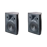JBL Control 28 High-Output Two-Way 8 Indoor/Outdoor Speaker, Black