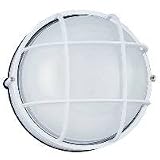 8924PBLE-15 - SeaGull Lighting Two-Light Fluorescent Outdoor Wall Lantern