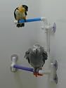 Super Bird Creations Fold Away Bird Shower Perch Size 9in x 1in perch