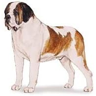 7.5cm x 5cm Acrylic Fridge Magnet-Saint Bernard