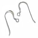 Sterling Silver French Wire Earring Hooks (10)