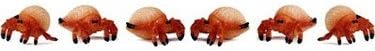 Set of 12 mini hermit crab models