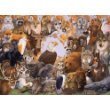 Ravensburger North American Animals Puzzle 300 Piece with Booklet
