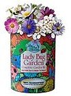 Gifts That Bloom ~ Lady Bug Garden