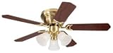 WESTINGHOUSE FAN & LIGHTING #78509 42Contemp SB Ceil Fan