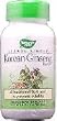 Ginseng Korean 560 mg by Nature's Way 100 Capsules