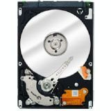 Item 3905: Seagate ST980818AM
