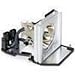 Electronics : Replacement Lamp - PD100/PD120