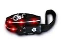 Visiglo Lighted Dog Leash - Red LED (4 ft)